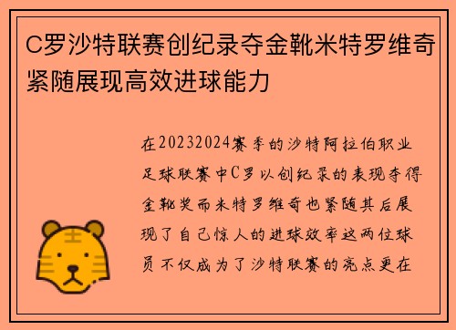 C罗沙特联赛创纪录夺金靴米特罗维奇紧随展现高效进球能力